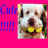 Pixelated image of a dog with white and brown fur wearing yellow clothing, set against bright pink background with blue text.