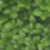 Green pixelated text on dark green background with blurred green foliage pattern on left side.