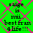 Green background with pink diamond pattern and black pixelated text reading "saige is mi. bestfran 4life!!!" repeated in four quadrants