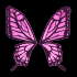 Four pink butterfly wing pairs arranged in a on black background, each pair showing distinct wing patterns and color gradients