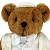 Static pixelated image of a brown teddy bear wearing a white shirt with a small dark emblem on the chest, set against a plain background.