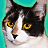 Pixelated close-up of a cat's face with black, white, and brown fur against a teal background.