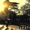 A pixelated image shows a person performing a skateboarding trick at sunset with trees and a building in the background.