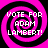 Four identical pink and black spiral patterns arranged in a , each containing white text reading "VOTE FOR ADAM LAMBERT!"