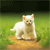 Animals icons for AIM, MSN, MySpace and Yahoo