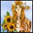 A pixelated image shows a character with long orange hair holding sunflowers against a light blue background, with 'AnimeIM' and 'com' text on a black