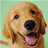 Pixelated close-up of a golden retriever dog's face with light brown fur, black nose, pink tongue, and dark eyes against a pale green background.