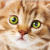 Pixelated close-up of a cat's face with green eyes and orange-brown fur, showing a neutral expression on a light background.