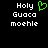 Pixelated text 'Holy Guaca moehle' with a green heart symbol on black background, two identical frames side-by-side.