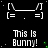 Pixel art animation of a bunny face with green dots on black background, text 'This is Bunny!' below each frame.