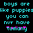 Pixelated cyan text on black background reads 'boys are like puppies you can nvr have tomany' with pink star-like symbols below the last line.