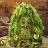 A 48x48 pixel buddy icon featuring a green, mossy creature on the left and black text reading "Sigmund and the Sea Monsters" on the right against a white background.