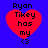 Four identical red heart-shaped icons with black text 'Ryon Tikey has my <3' on a blue background, arranged in a