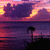 Pixelated sunset scene with purple and pink clouds over water, featuring a dark silhouette of a palm tree on the right.