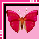 Pixelated pink butterfly with orange-brown body and white antennae on pink polka-dot background, framed by pink and white geometric border.