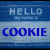 Pixelated blue and white graphic with 'HELLO' in light blue above 'COOKIE' in dark blue text on a striped background.