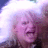 Pixelated image of a person with closed eyes and mouth, rendered in purple and white tones against a bright background.