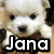 A pixelated dog with white fur and dark eyes appears in , the second showing a raised paw, with the text 'Jana' in bold white letters on a black background