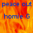 Blue text 'peace out' and 'homie G' on a fiery orange-yellow background with a gray rectangle in the bottom-right corner.