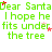 Green text repeating 'Dear Santa I hope he fits under the tree' with red and pink star accents on a white background, partially cropped at right.