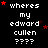 Black background with white pixelated text reading 'wheres my edward cullen ????', red stars scattered around, and a gray rectangle in the bottom right corner.