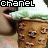 A doll's face with green hair and brown skin appears in a of six , each showing the same doll with varying text overlays and heart symbols