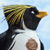 Pixelated penguin with black head, white chest, and brownish crest against light blue background.