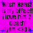 Pixelated text on bright pink background with blue plus signs, repeating 'Nitch Haas? is my bffae! i love him 2 death! ilysm <888' in four identical