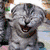 Pixelated image of a gray cat with closed eyes and open mouth, next to purple text reading RAWR! on a blurred background.