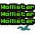 Green 'Hollister' text on black background with multiple green and teal seagull icons in various positions.