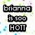 Pixelated text blocks reading 'brianna is soo HOTT' on a white background with scattered green, blue, and pink squares.