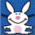 Animated icon features a white rabbit with pink nose and chest on blue background, surrounded by changing text phrases in multiple colors.