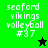 Green and black pixelated text displays 'seaford vikings volleyball #37' with a star symbol changing from black to green.