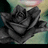 A pixelated image of a dark rose with teal text reading "I'd DIE without him" and "I think I'm having a HEART ATTACK" on a black background.