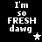 Black background with white pixelated text reading "I'm so FRESH dawg" and a star symbol that alternates between solid white and gray.