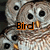 Animated owl with brown and white feathers, black eyes, and an orange beak, displaying text changes across frames.