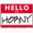 Static 48x48 pixel buddy icon with red and white color scheme featuring "HELLO" text above stylized handwritten-style text reading "HORNY" on a white background.