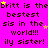 A bright pink background displays repeated text 'briitt is thebestest sis in the world!!! ily sister!' with scattered yellow and light purple stars.