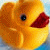 Yellow rubber duck with red beak and black eye, displayed in a with text overlays