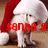 A white dog wearing a red Santa hat with white trim appears in four , each showing different text overlays