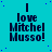 A static image with a cyan background and scattered blue dots, displaying repeated text "I love Mitchel Musso!" in black pixelated font.
