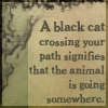 A static image shows a black cat crossing a path with text stating the animal is going somewhere.