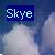 Pixelated blue rectangular icon with white text 'Skye' on a gradient background of blue and light gray tones.
