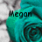 Pixelated teal and gray icon with 'Megan' text overlay on a stylized rose-like shape.
