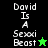Pixelated text 'David Is A Sexxi Beast' with star symbols on black and green backgrounds, showing animation changes between frames.