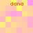 Pixelated of pastel pink and yellow squares with four orange 'dana' text instances, static composition