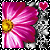 iconhell_makeupqueen5_flower