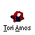 Pixelated icon of a person with red hair and blue clothing, positioned above text reading 'Tori Amos' on gray background.