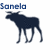 Dark blue moose silhouette with antlers, text "Sanela" in blue above or below, on white background with gray section.