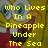Pixelated image with yellow text reading 'Who Lives In A Pineapple Under The Sea' over a background featuring blue eyes and red shapes.